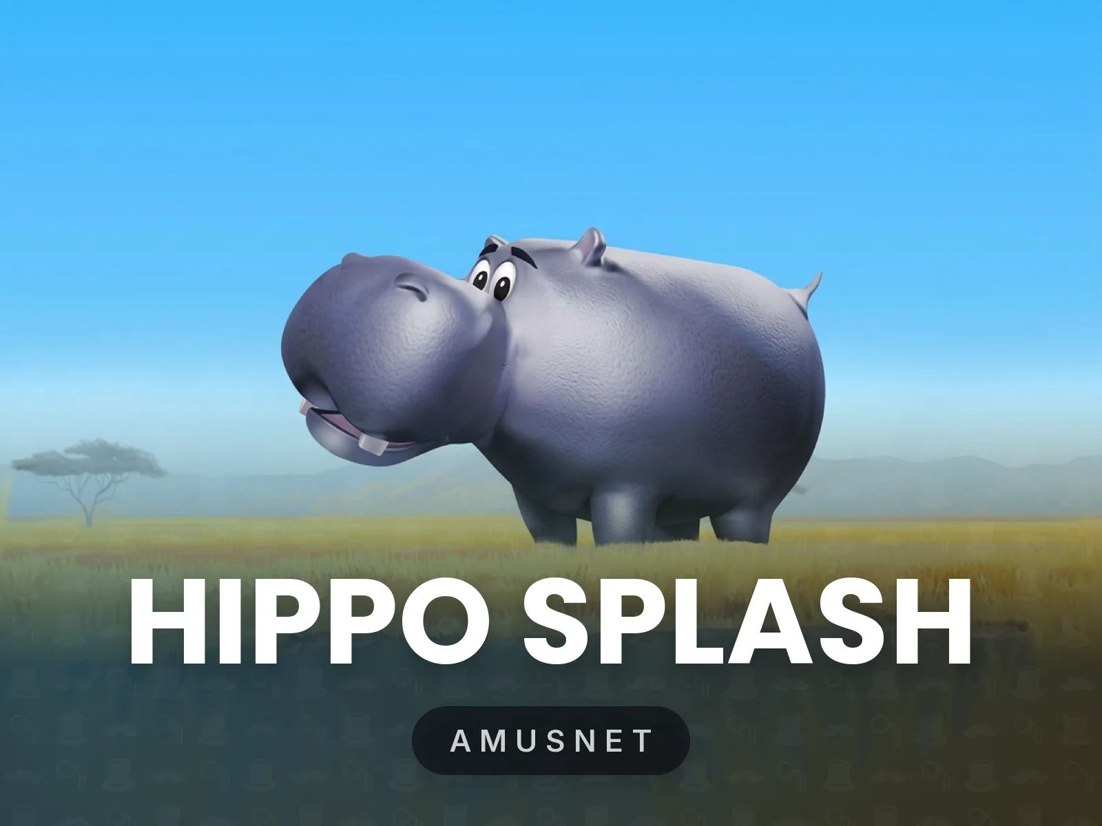 Hippo Splash