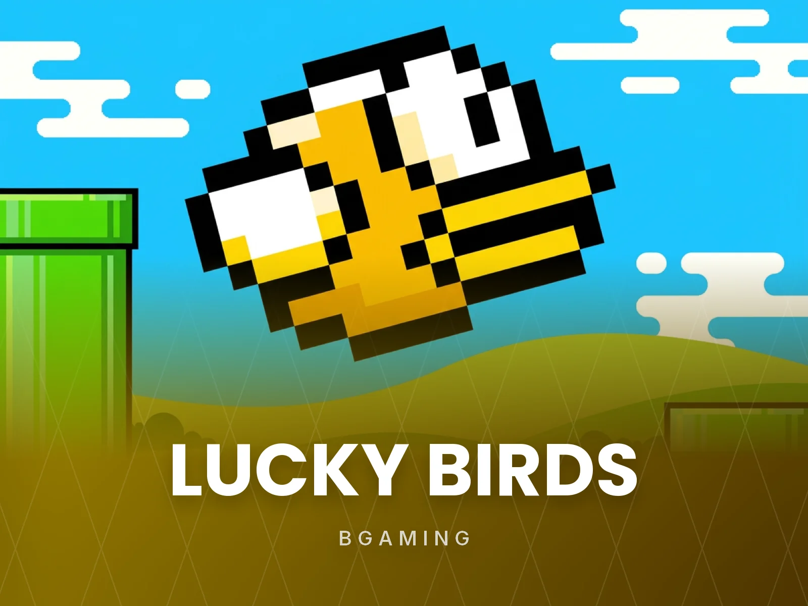 Lucky Birds