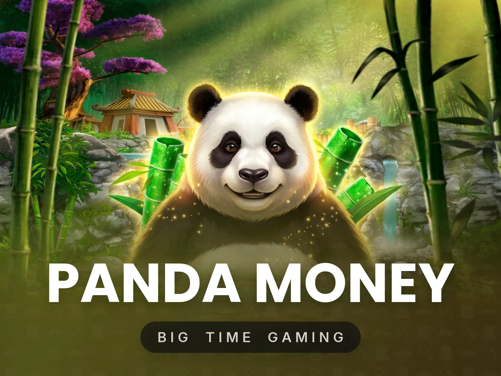 Panda Money