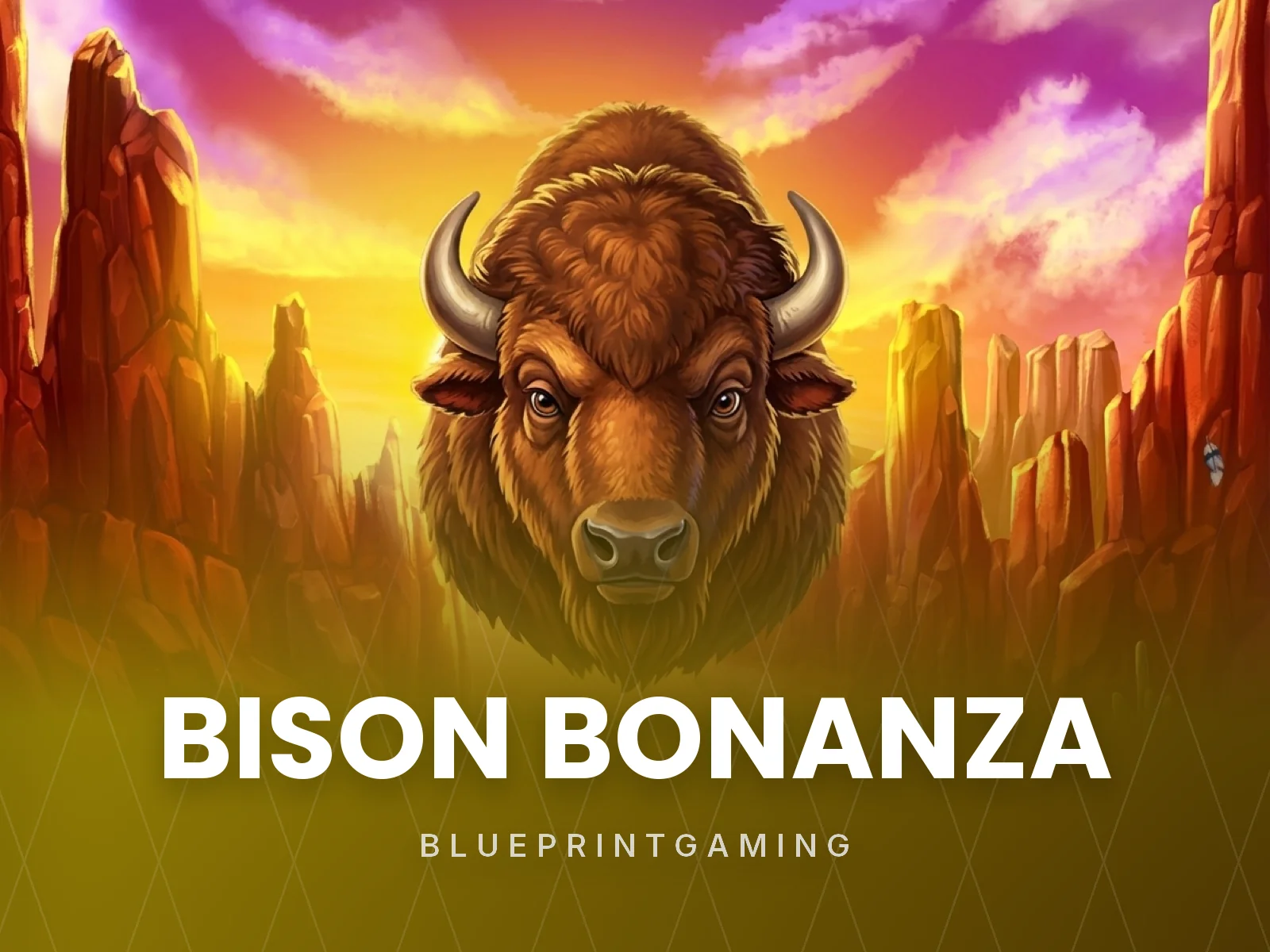 Bison Bonanza