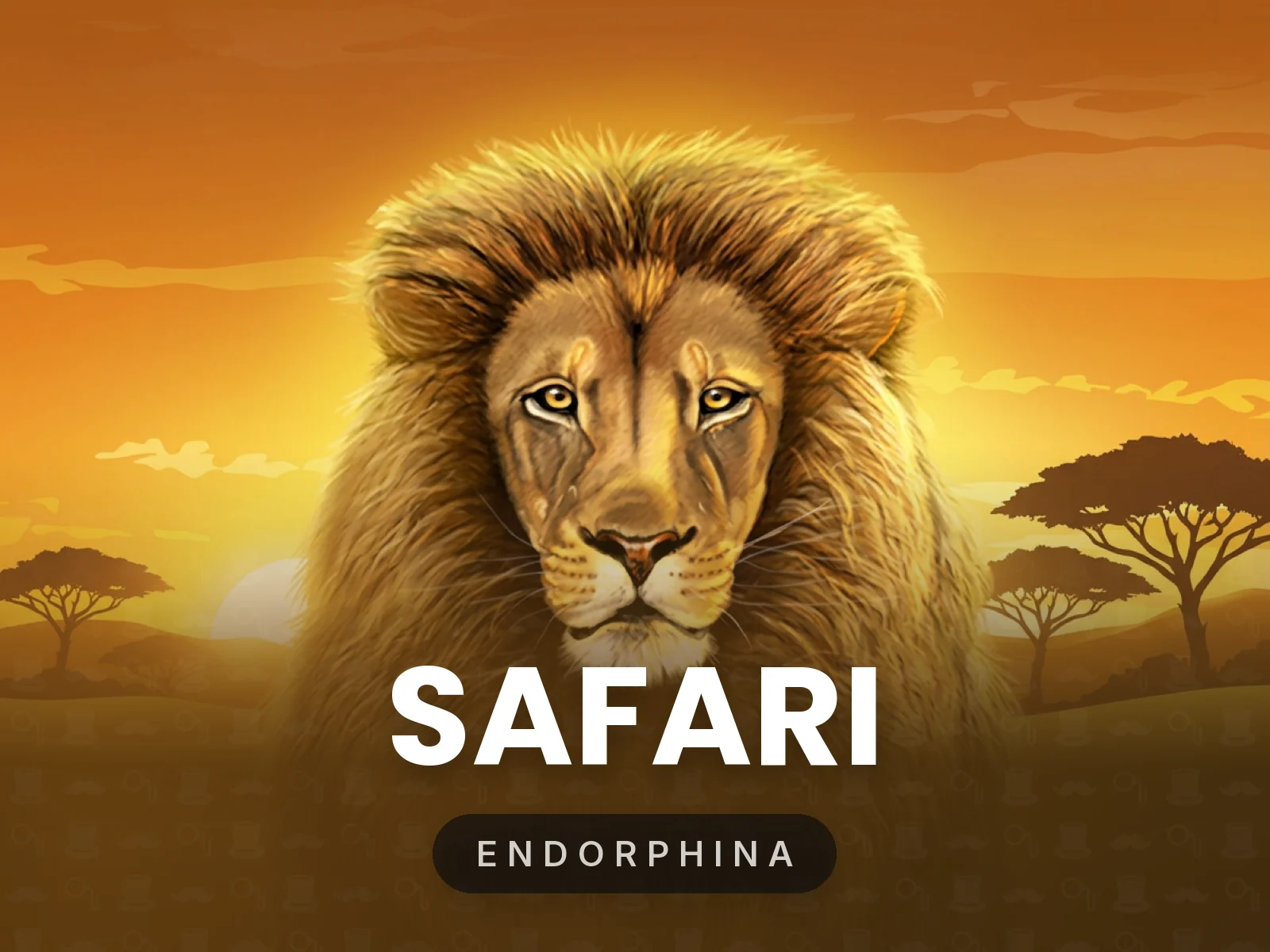 Safari