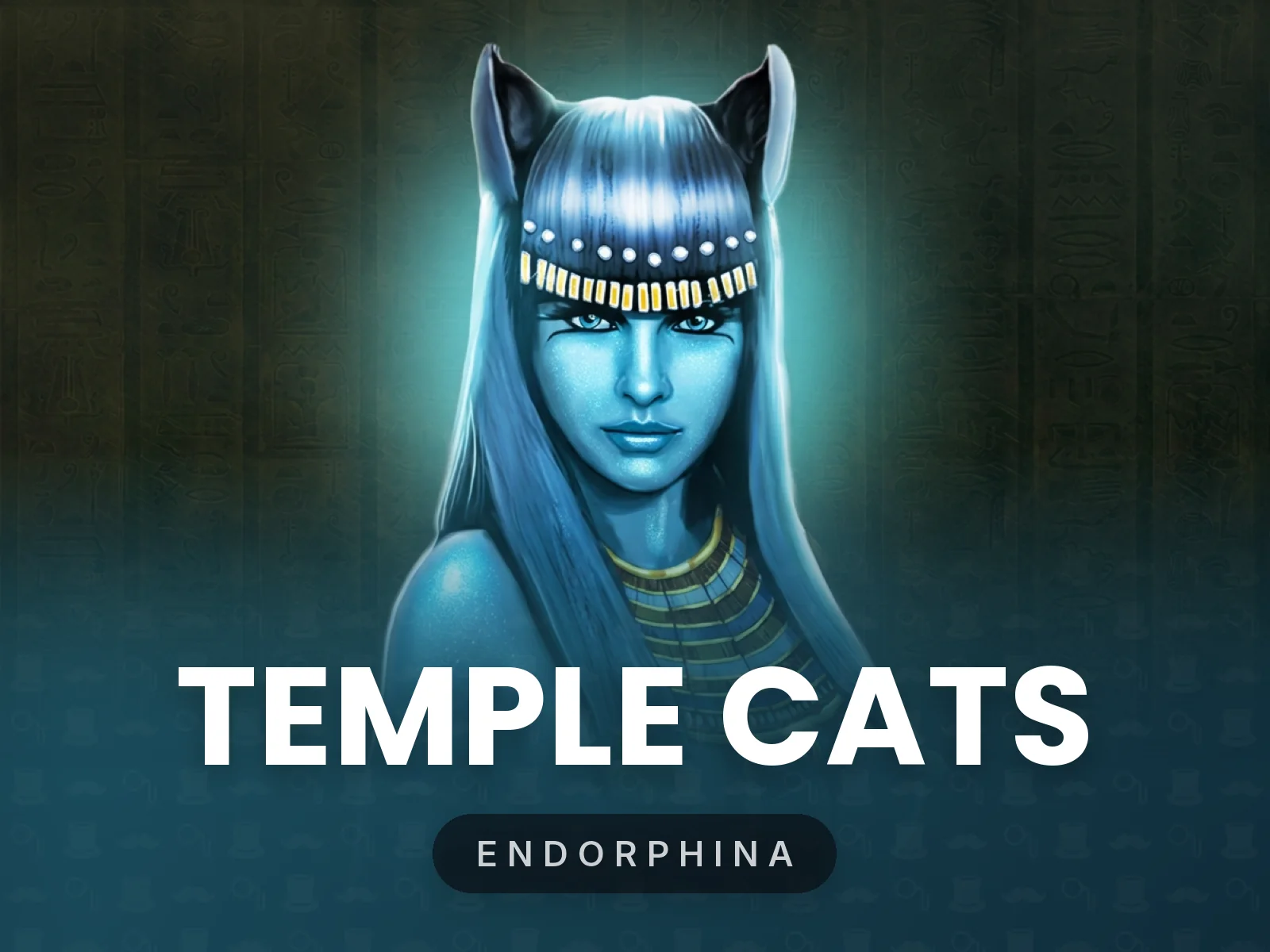 Temple Cats