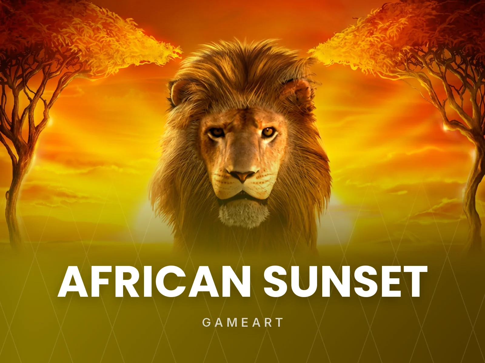 African Sunset