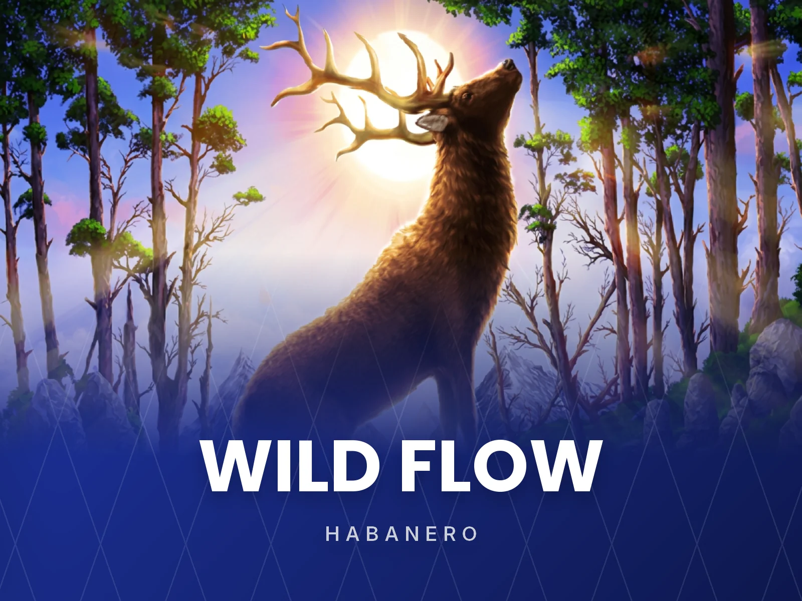 Wild Flow