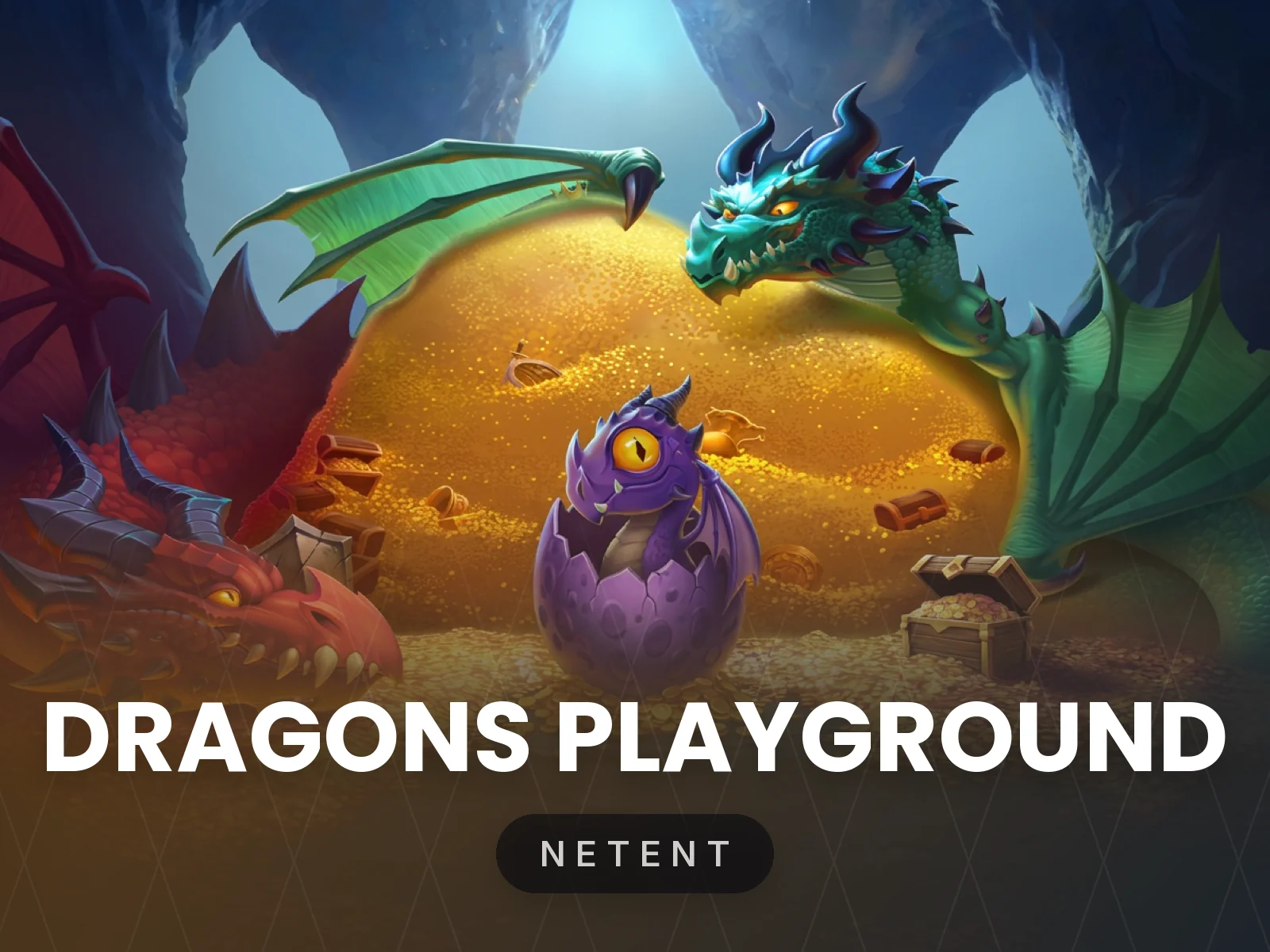 Dragons Playground