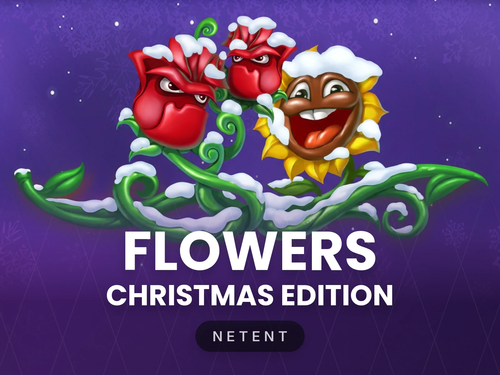 Flowers Christmas Edition