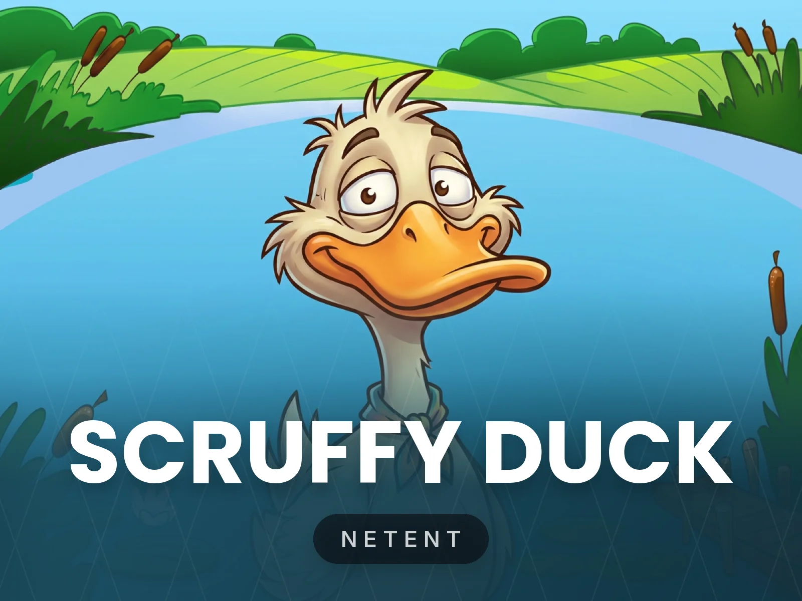Scruffy Duck