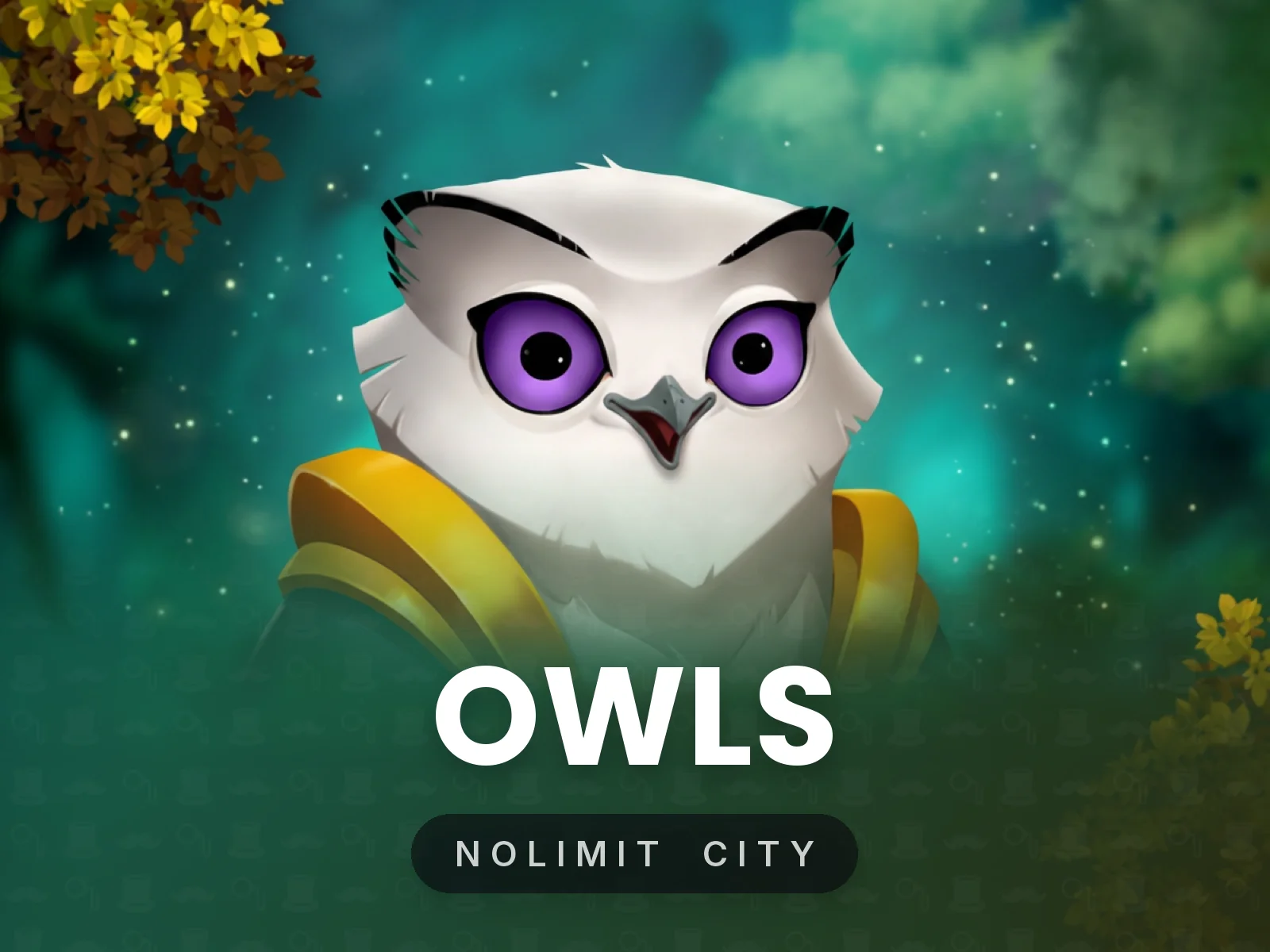 Owls