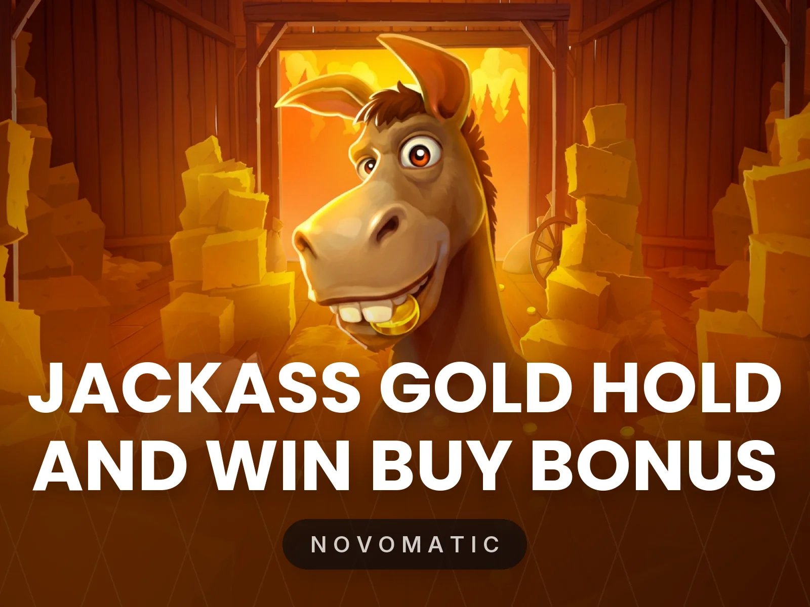 Jackass Gold Hold and Win Buy Bonus
