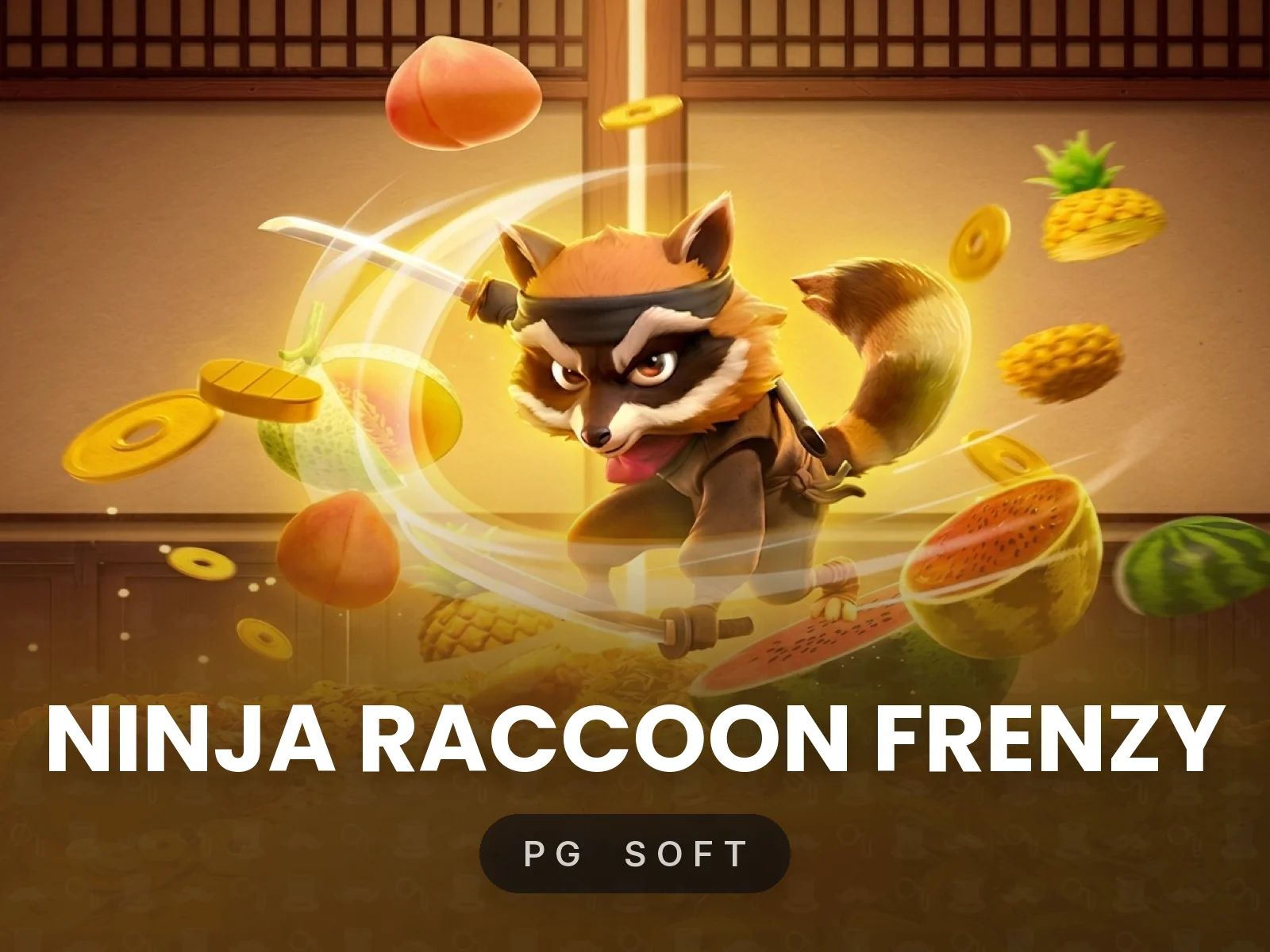 Ninja Raccoon Frenzy