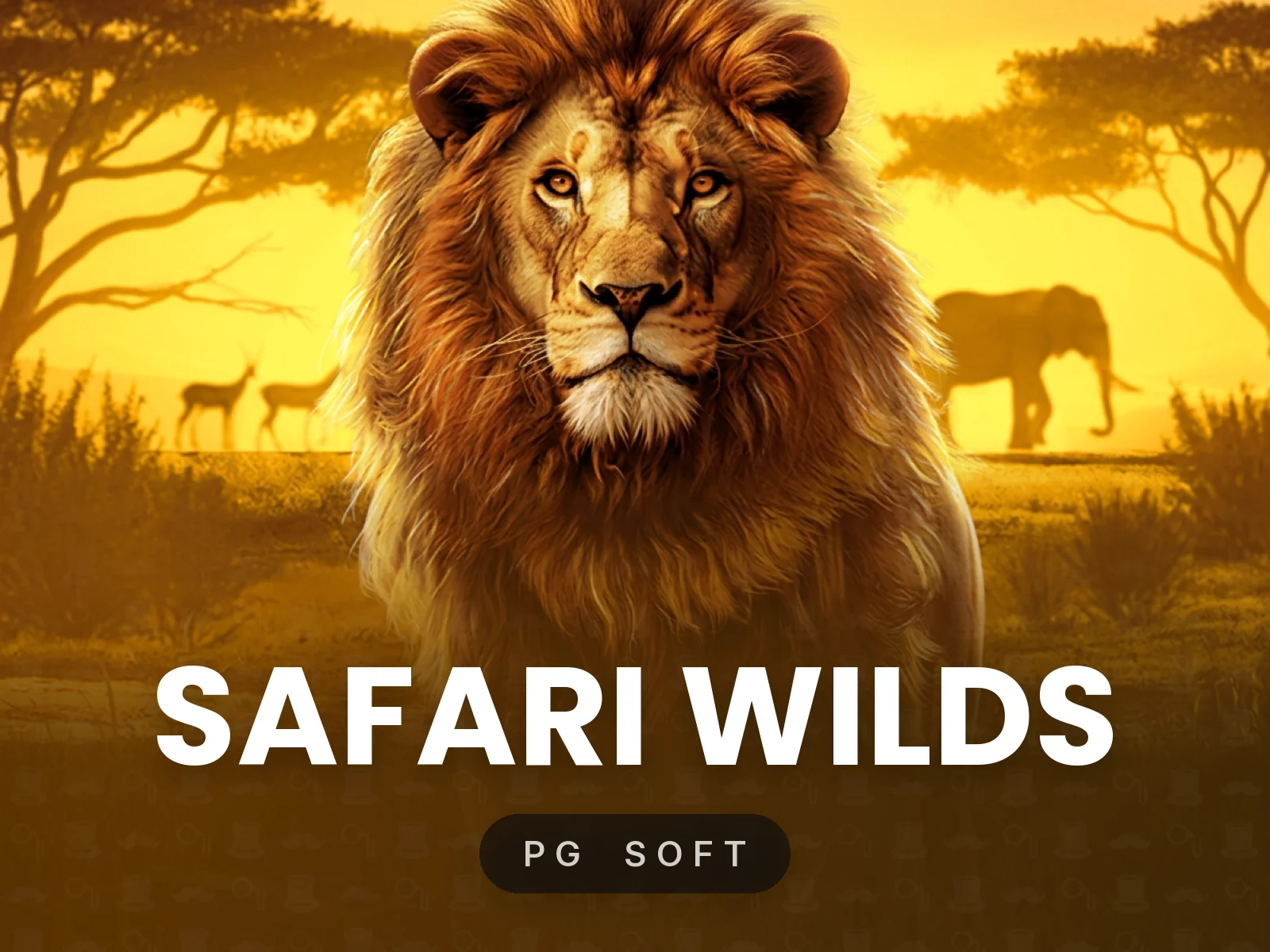 Safari Wilds