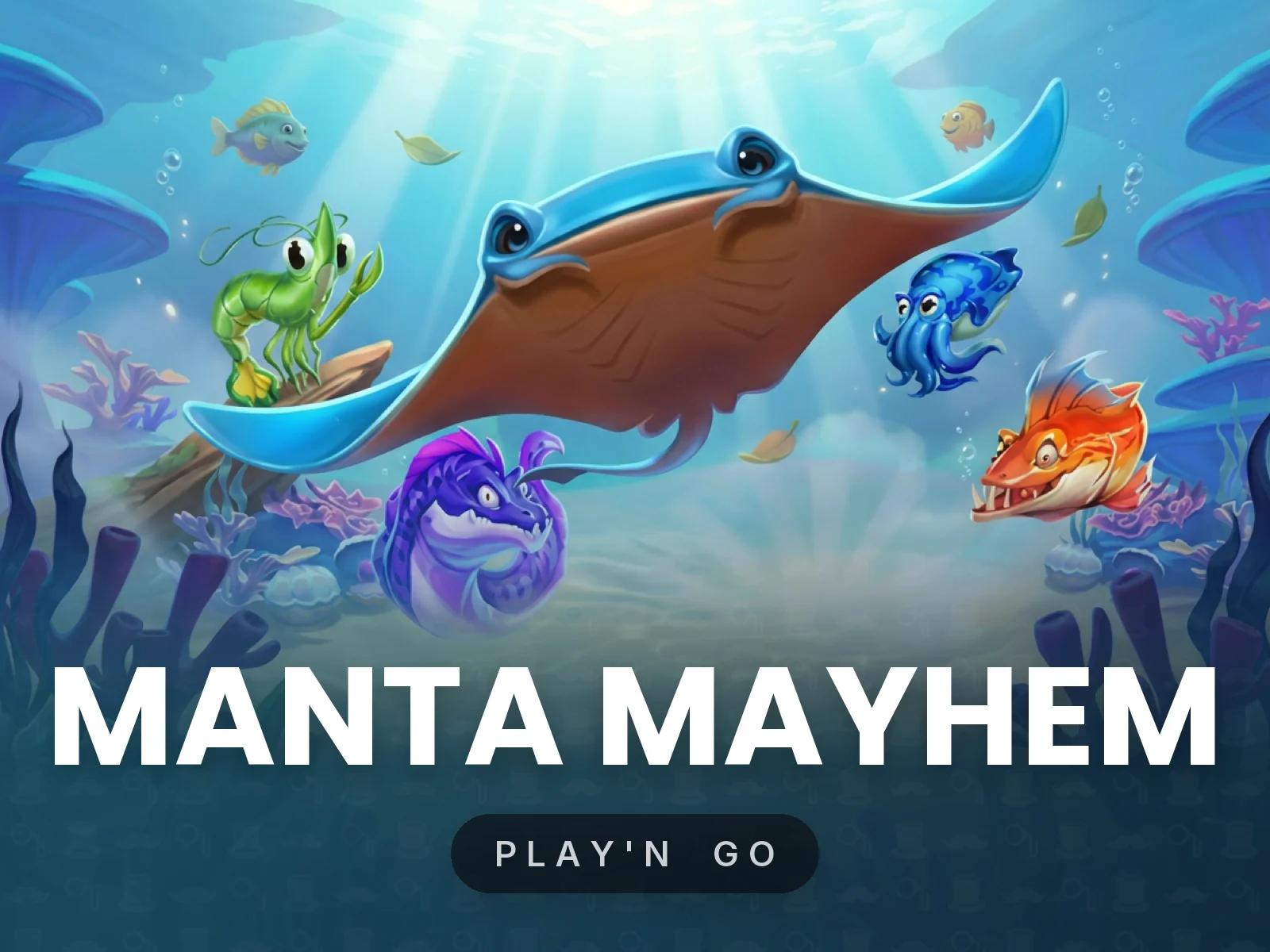 Manta Mayhem