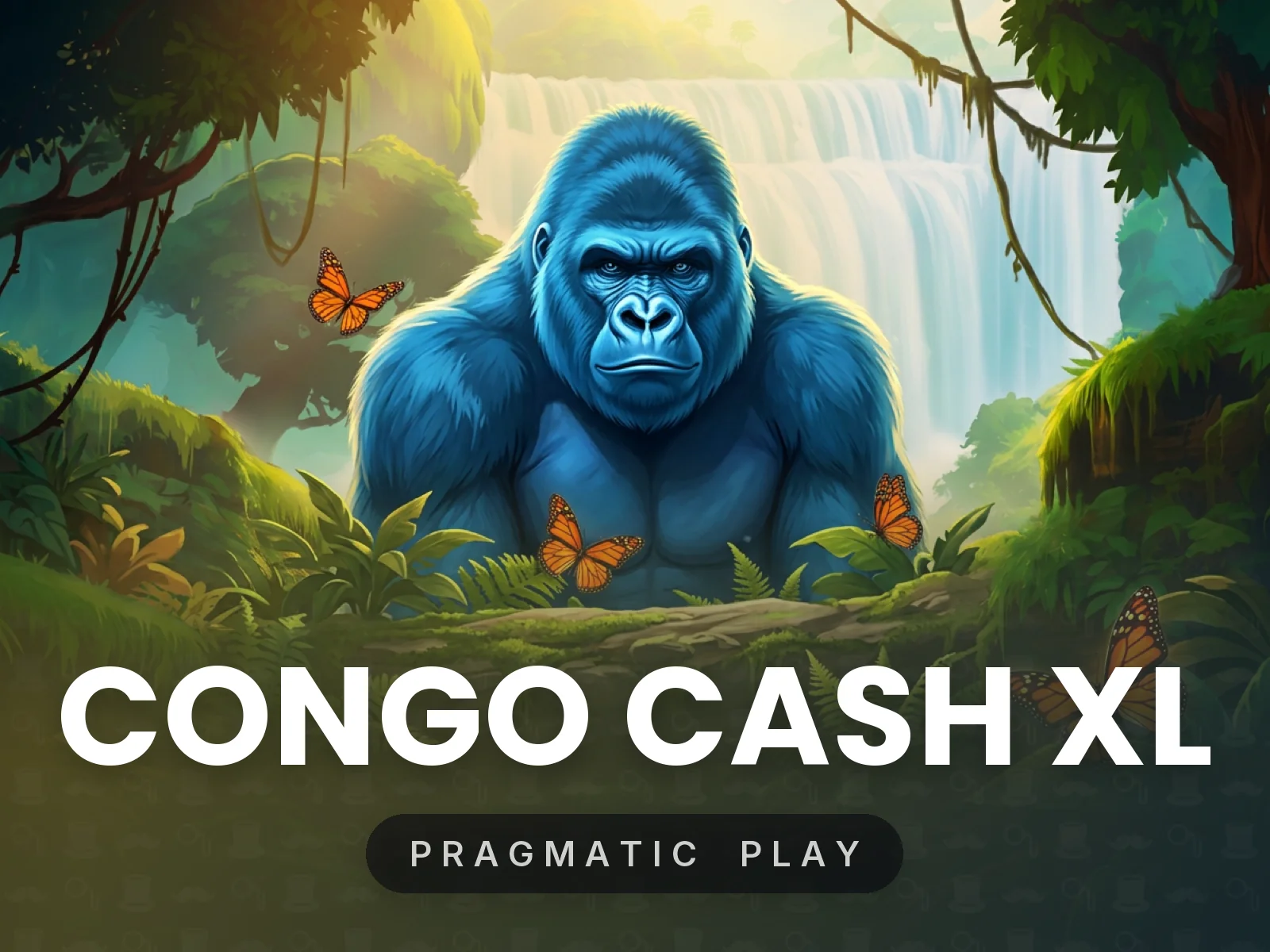 Congo Cash XL