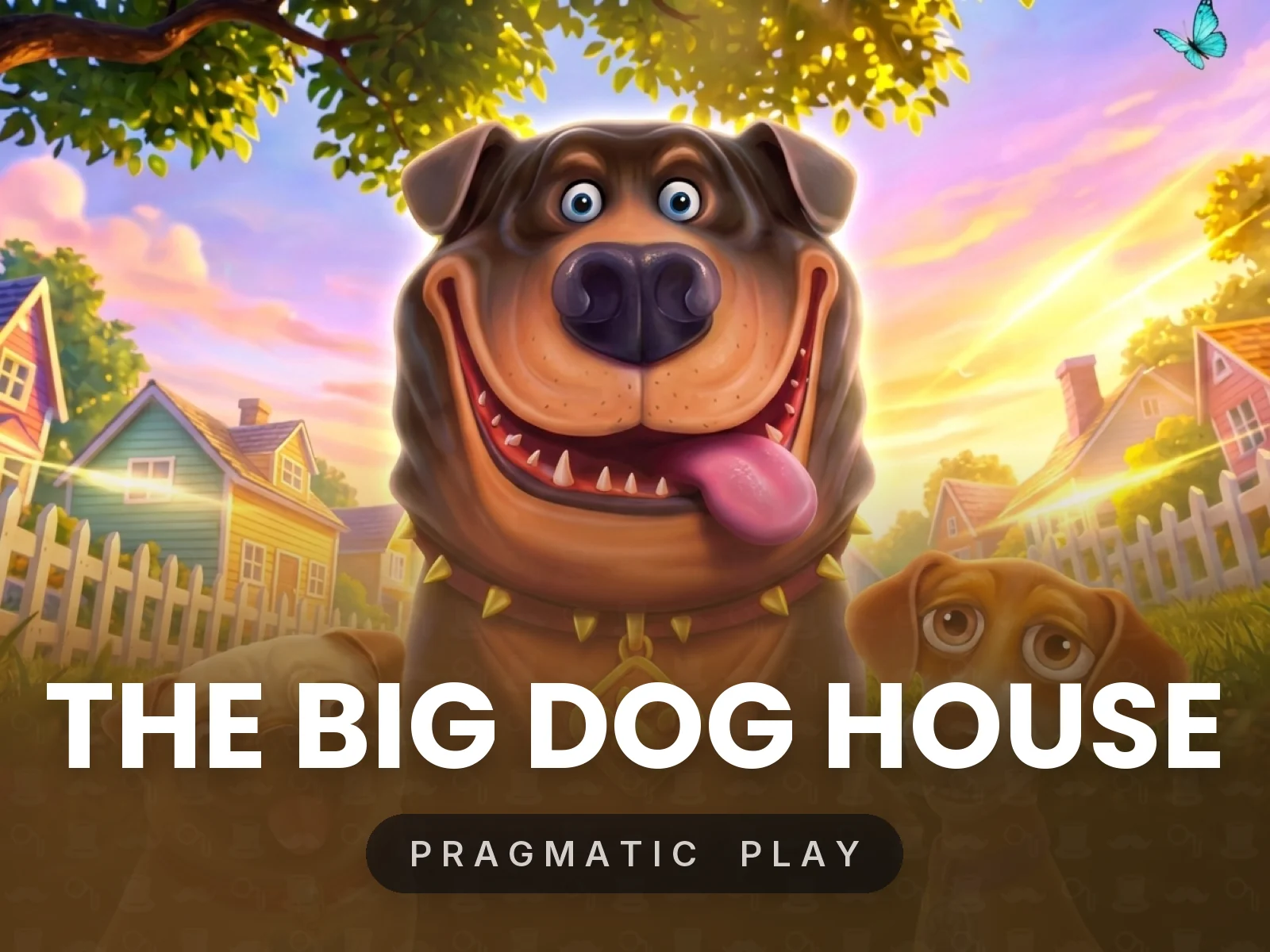 The Big Dog House