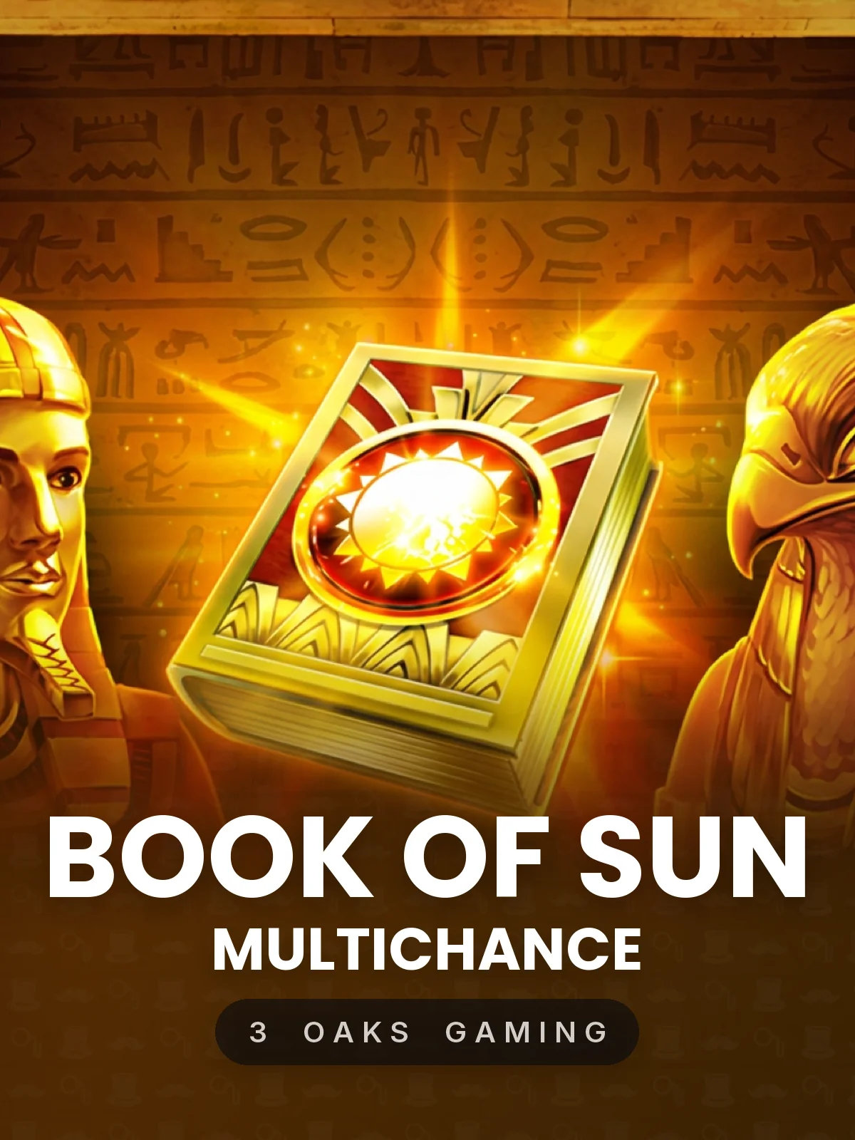 Book of Sun: Multichance