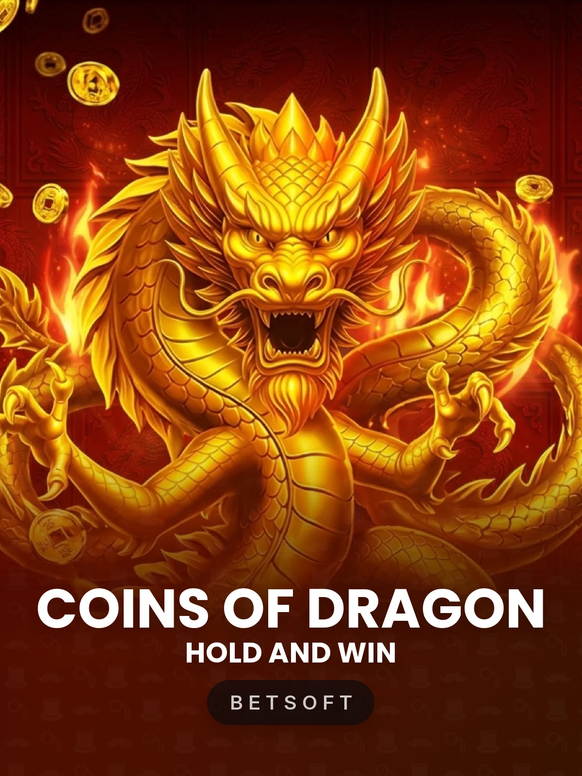 Coins of Dragon - Hold and Win