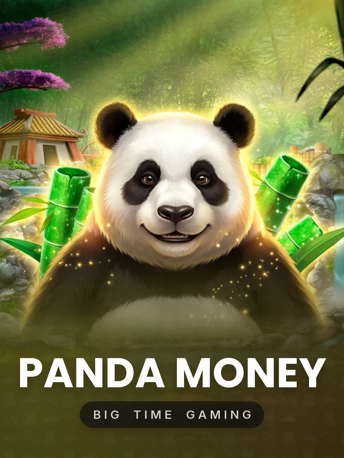 Panda Money