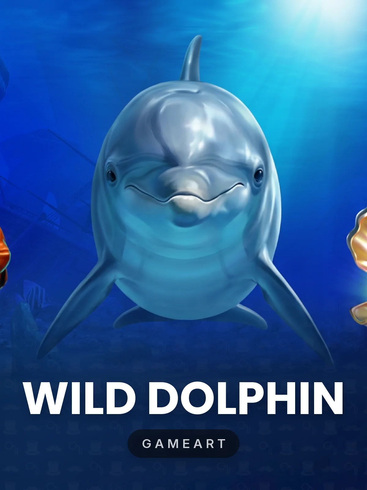 Wild Dolphin