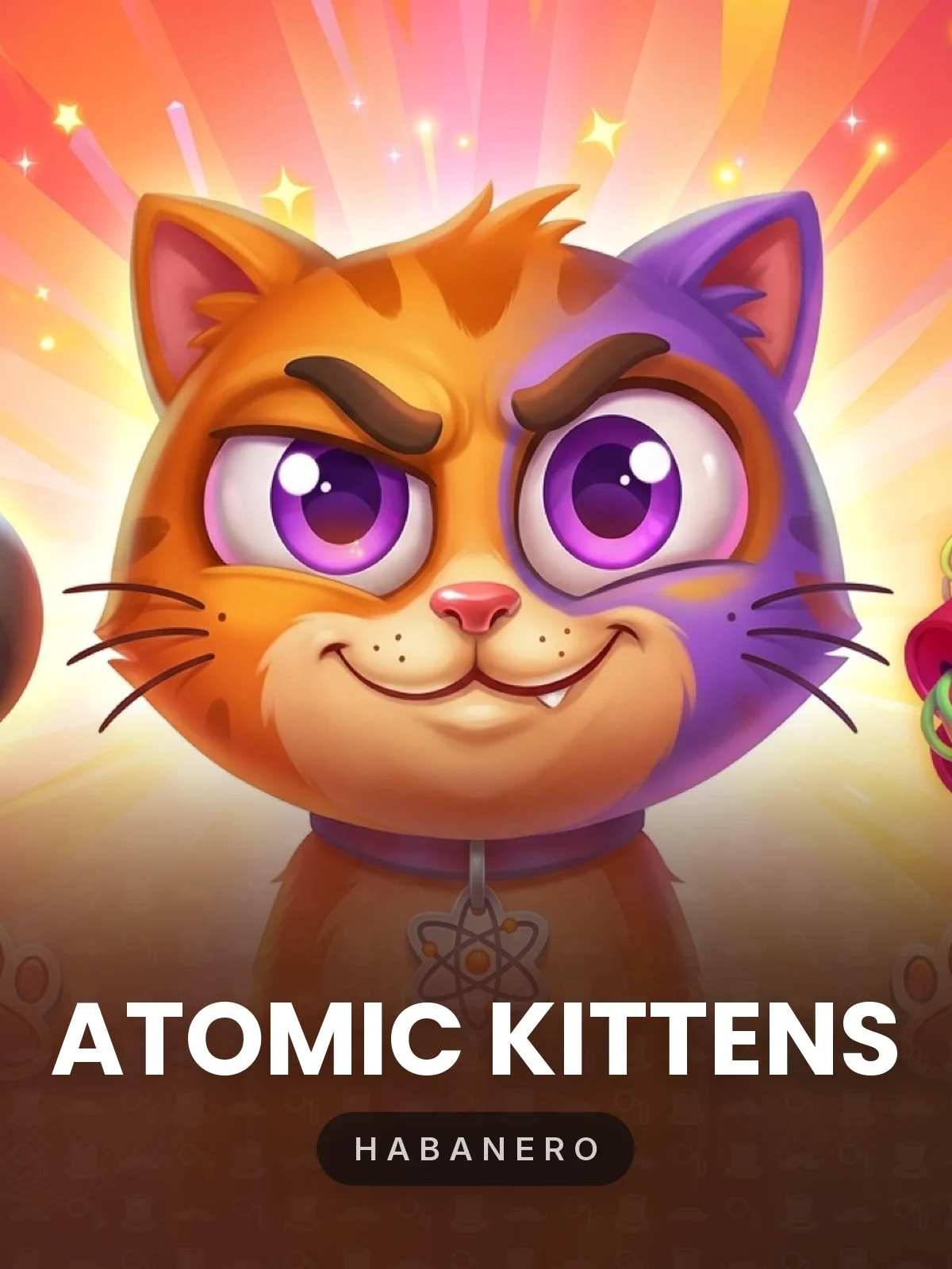 Atomic Kittens