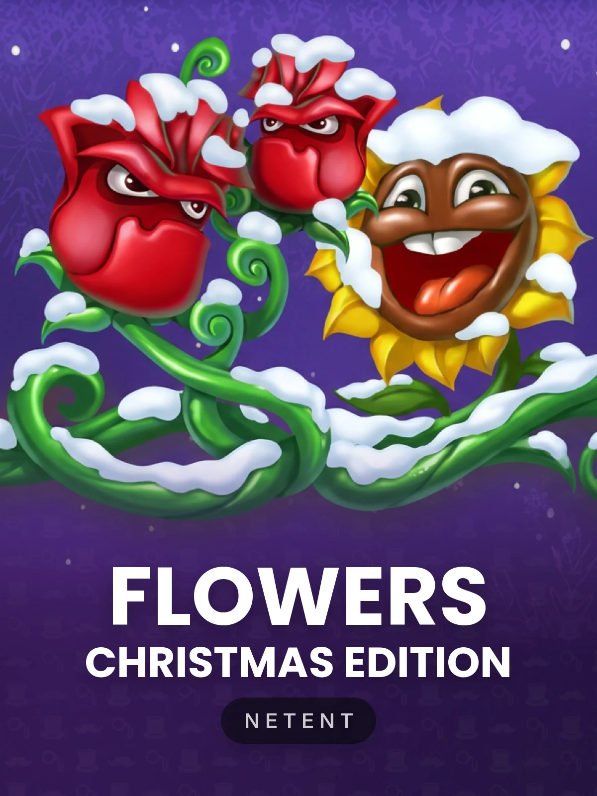 Flowers Christmas Edition