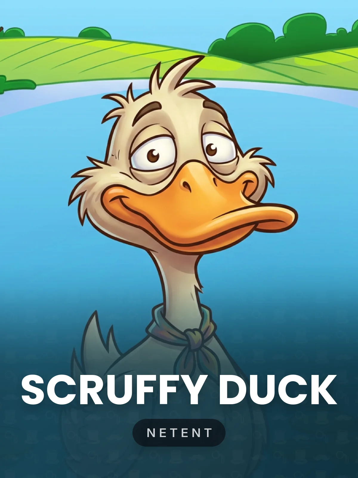 Scruffy Duck