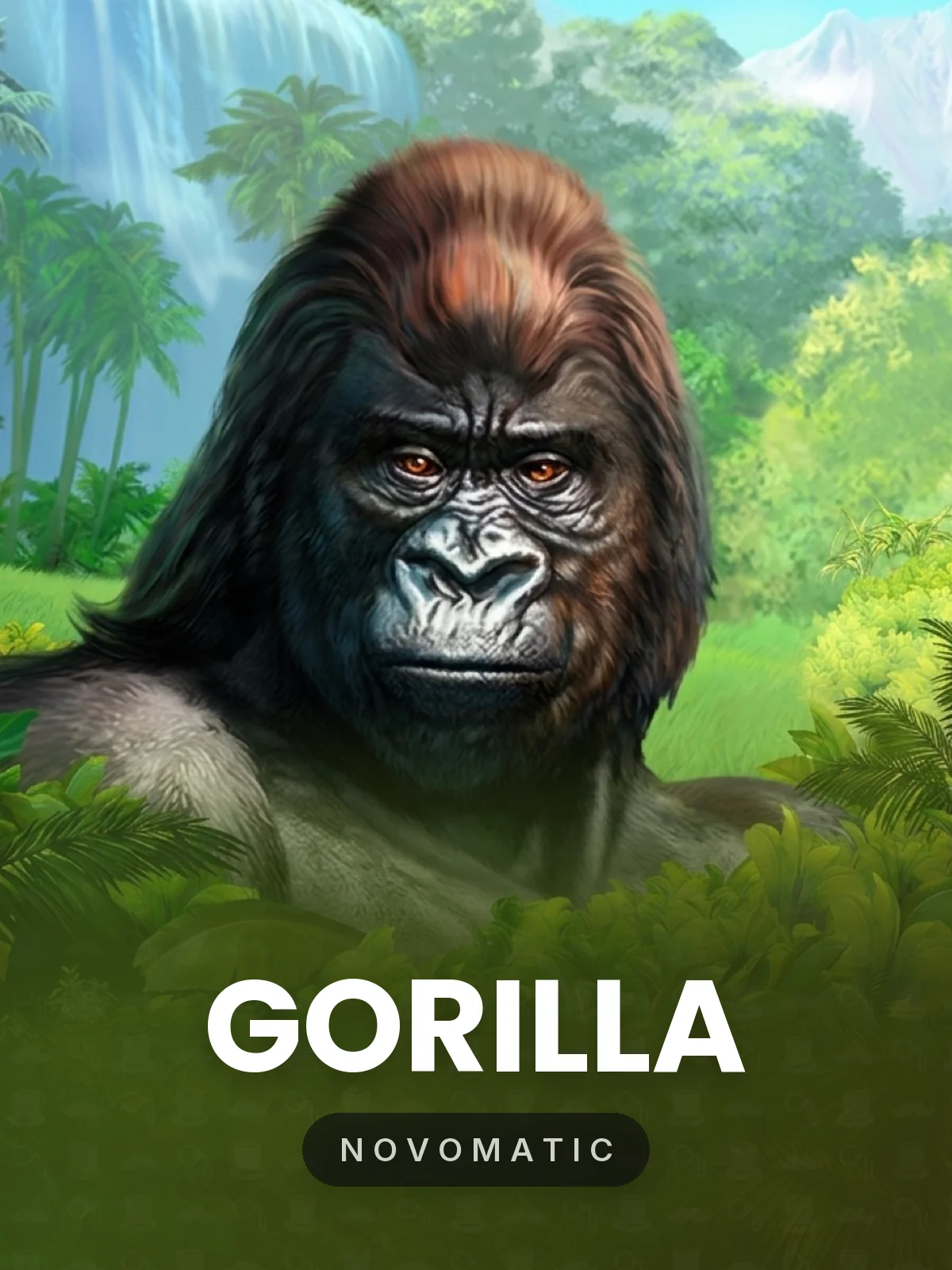 Gorilla