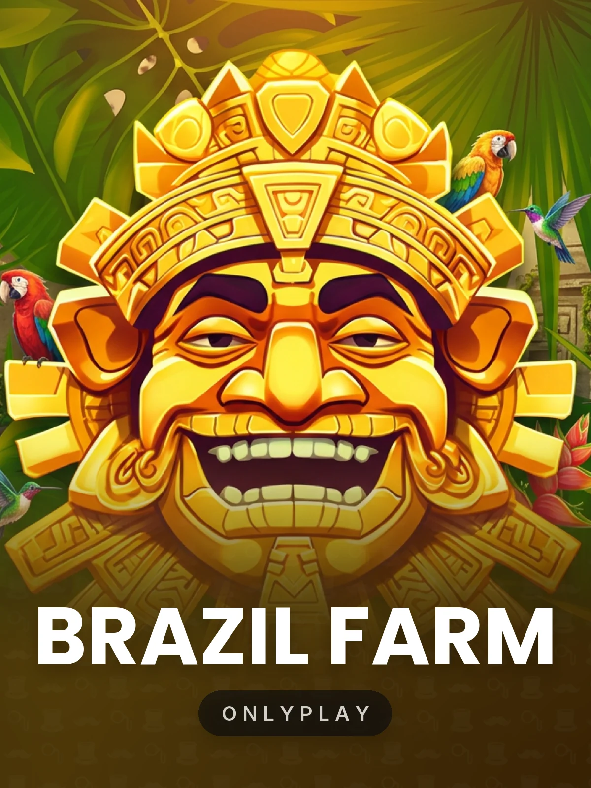 Brazil Farm