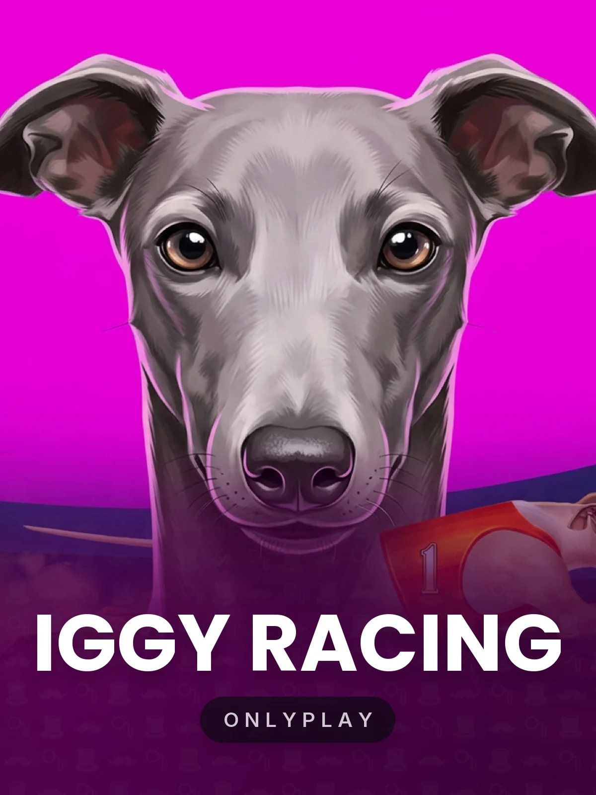 Iggy Racing