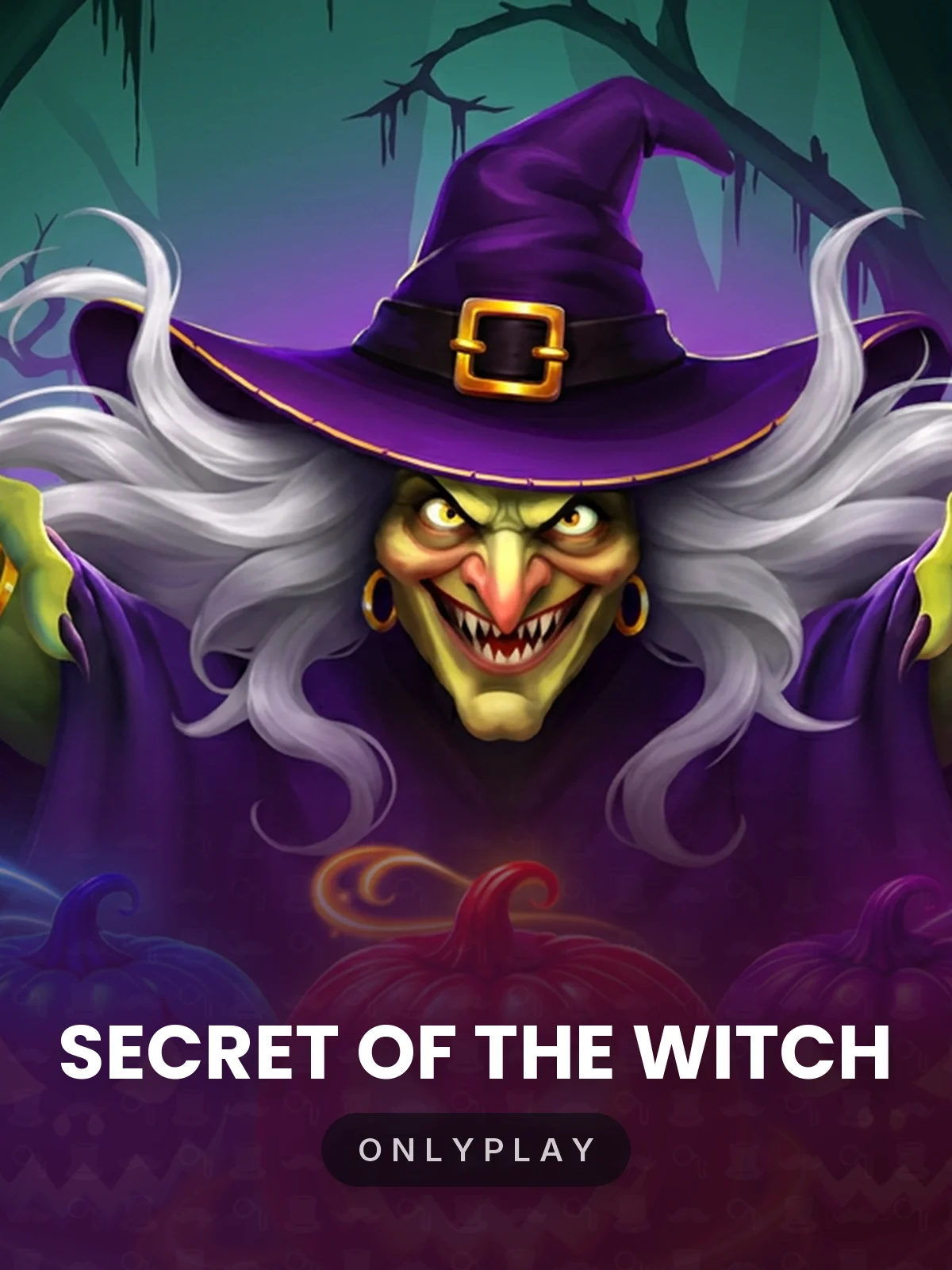 Secret of the Witch