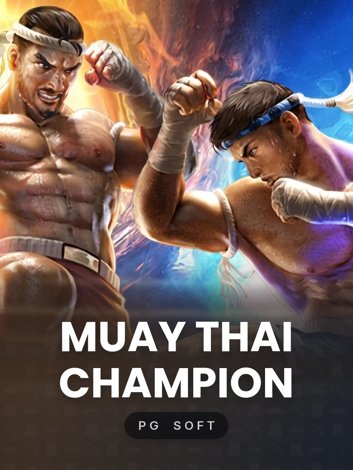 Muay Thai Champion