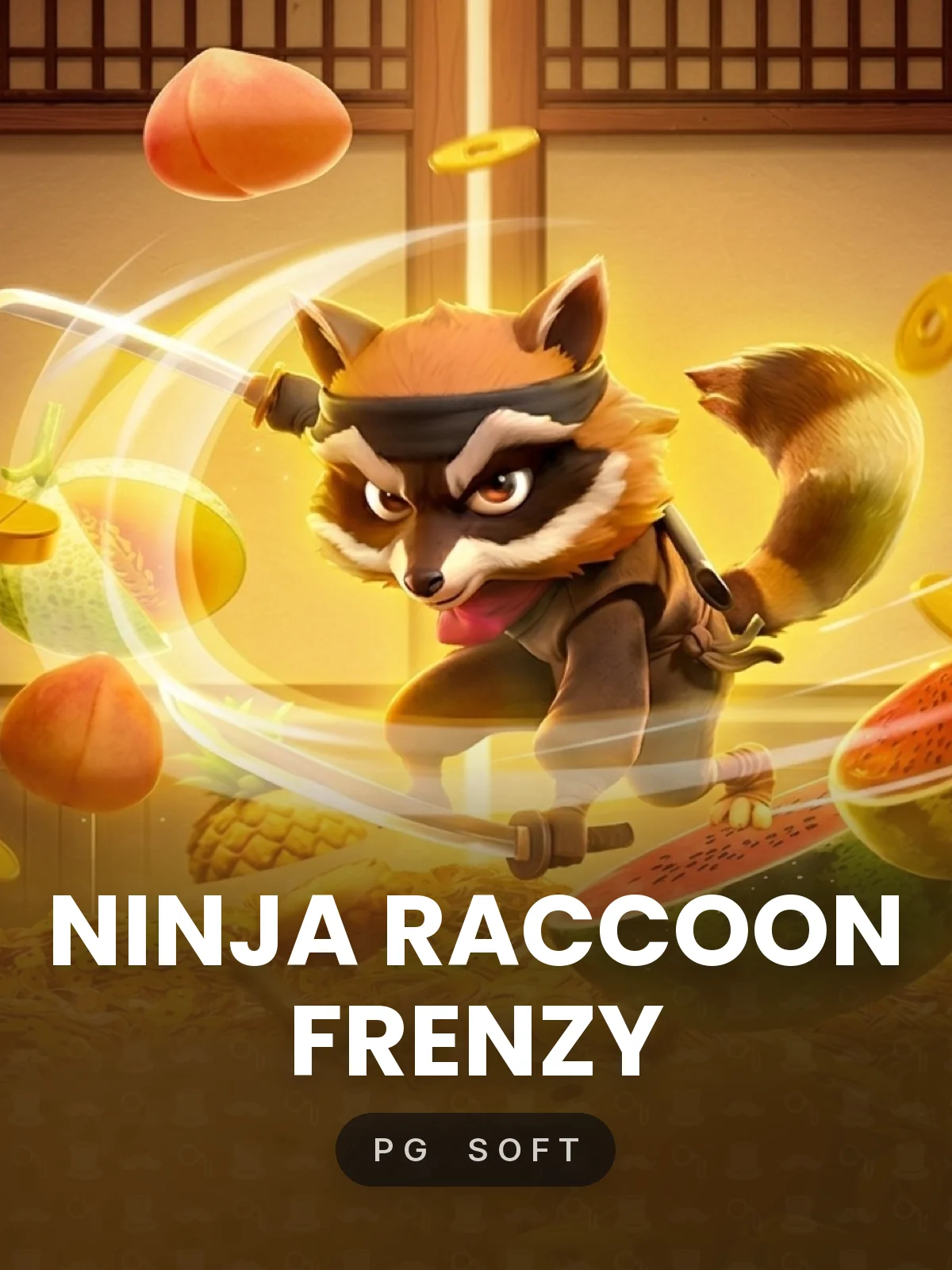 Ninja Raccoon Frenzy