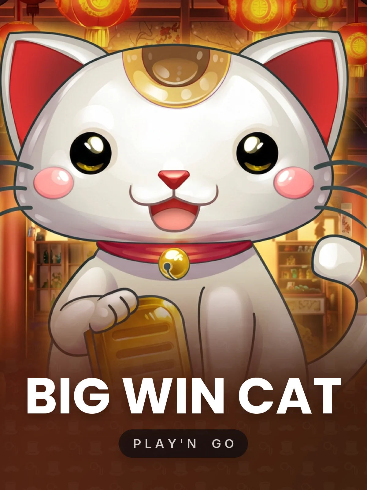 Big Win Cat