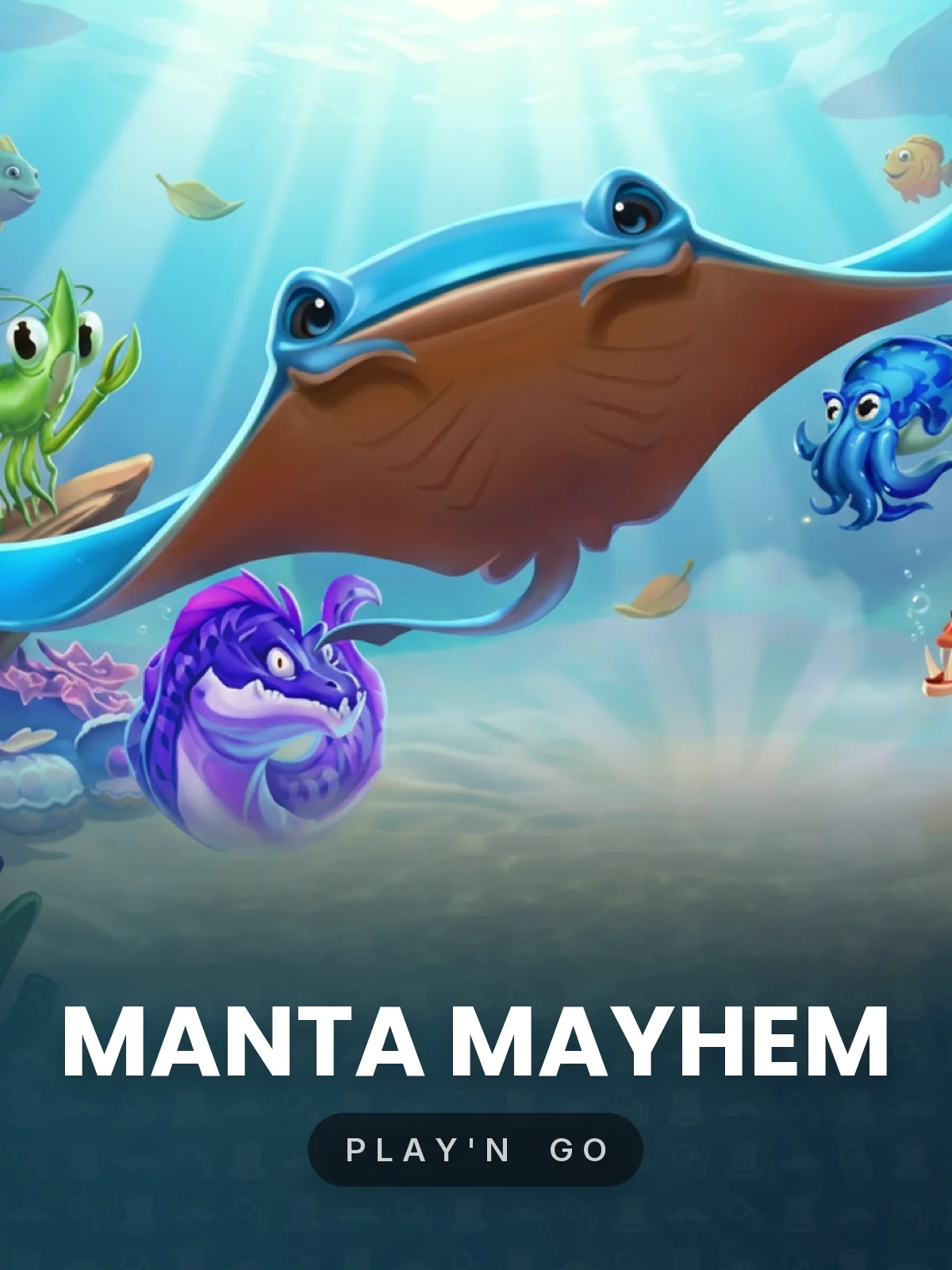 Manta Mayhem