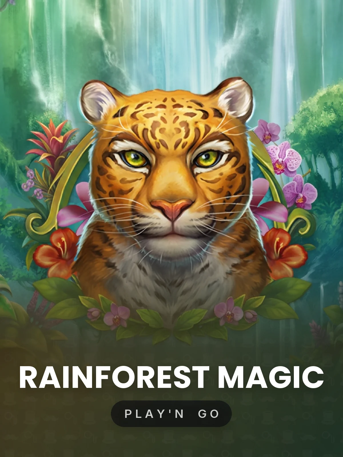 Rainforest Magic