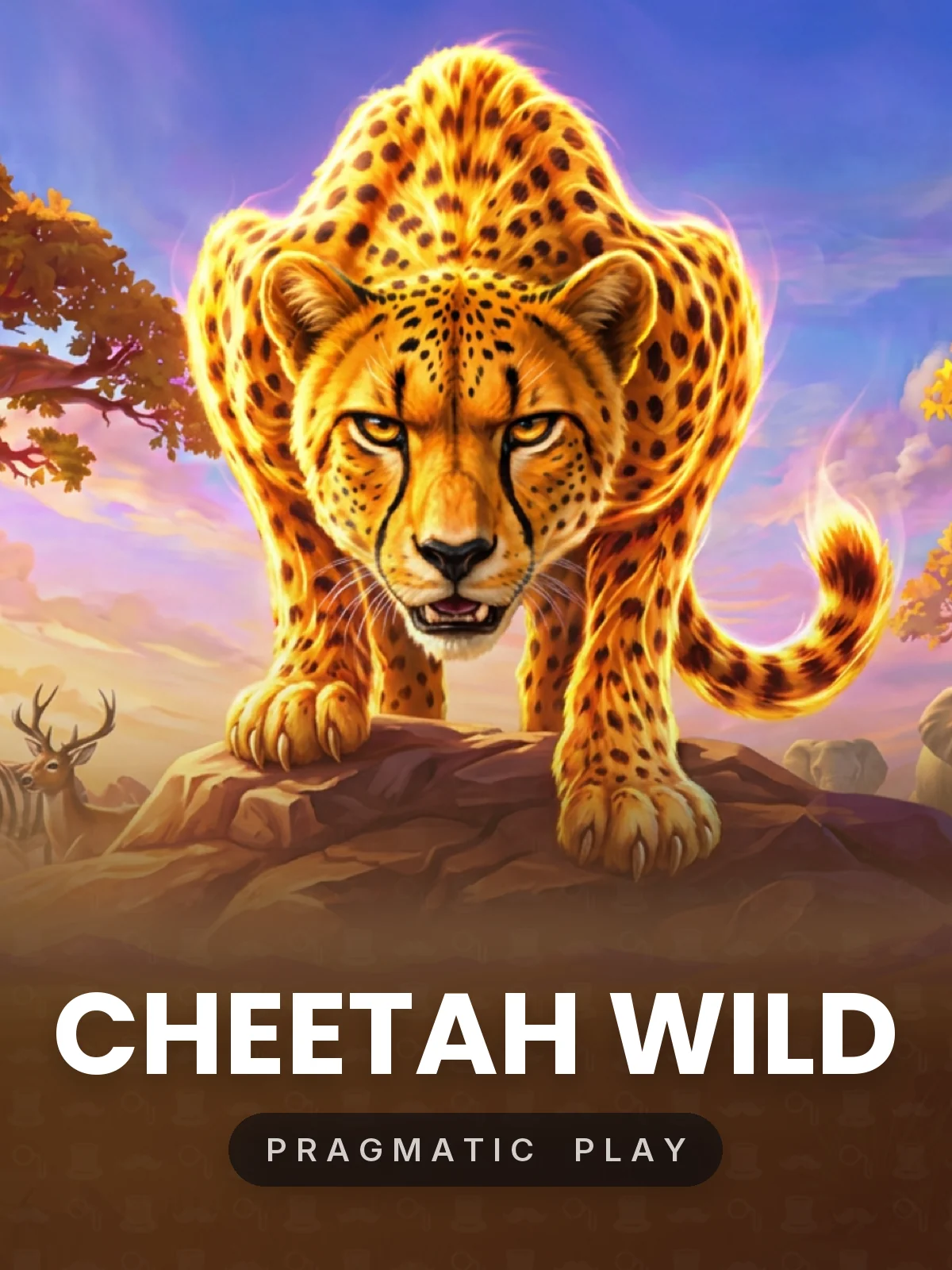 Cheetah Wild