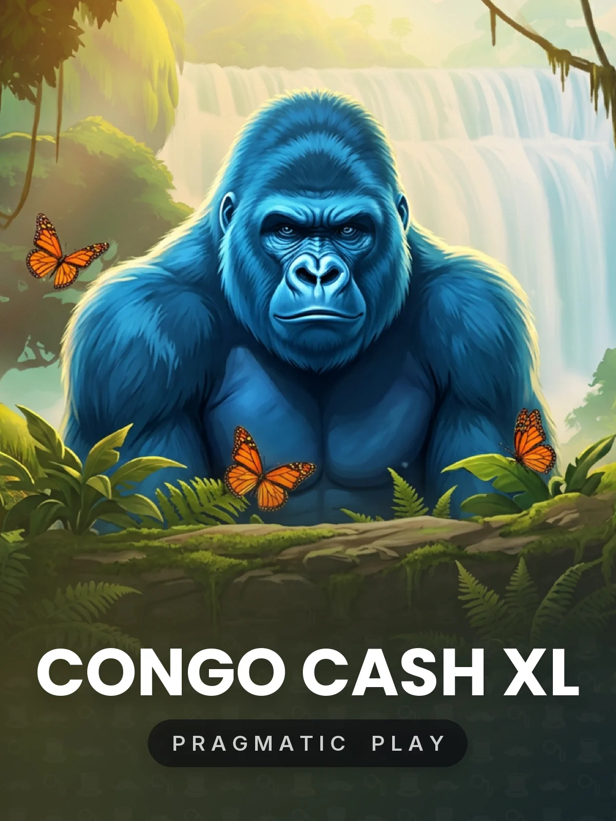 Congo Cash XL