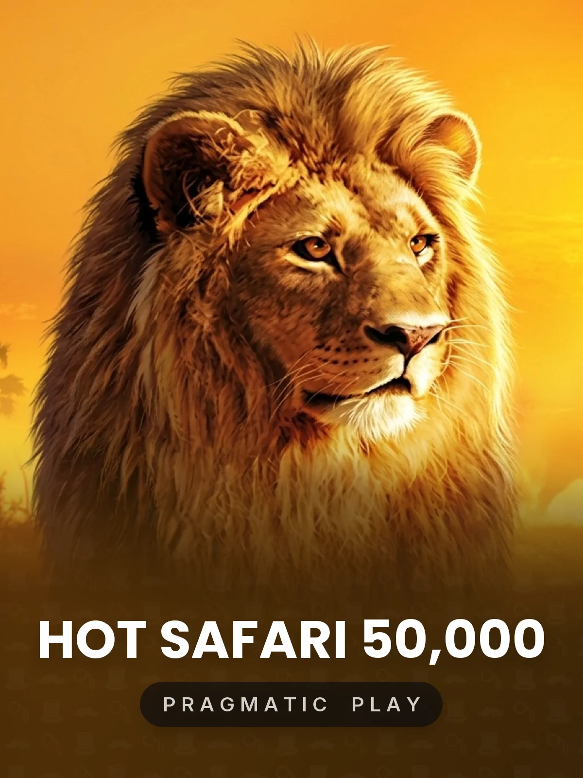 Hot Safari 50,000