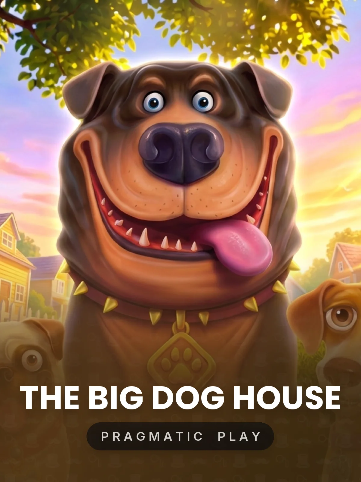 The Big Dog House