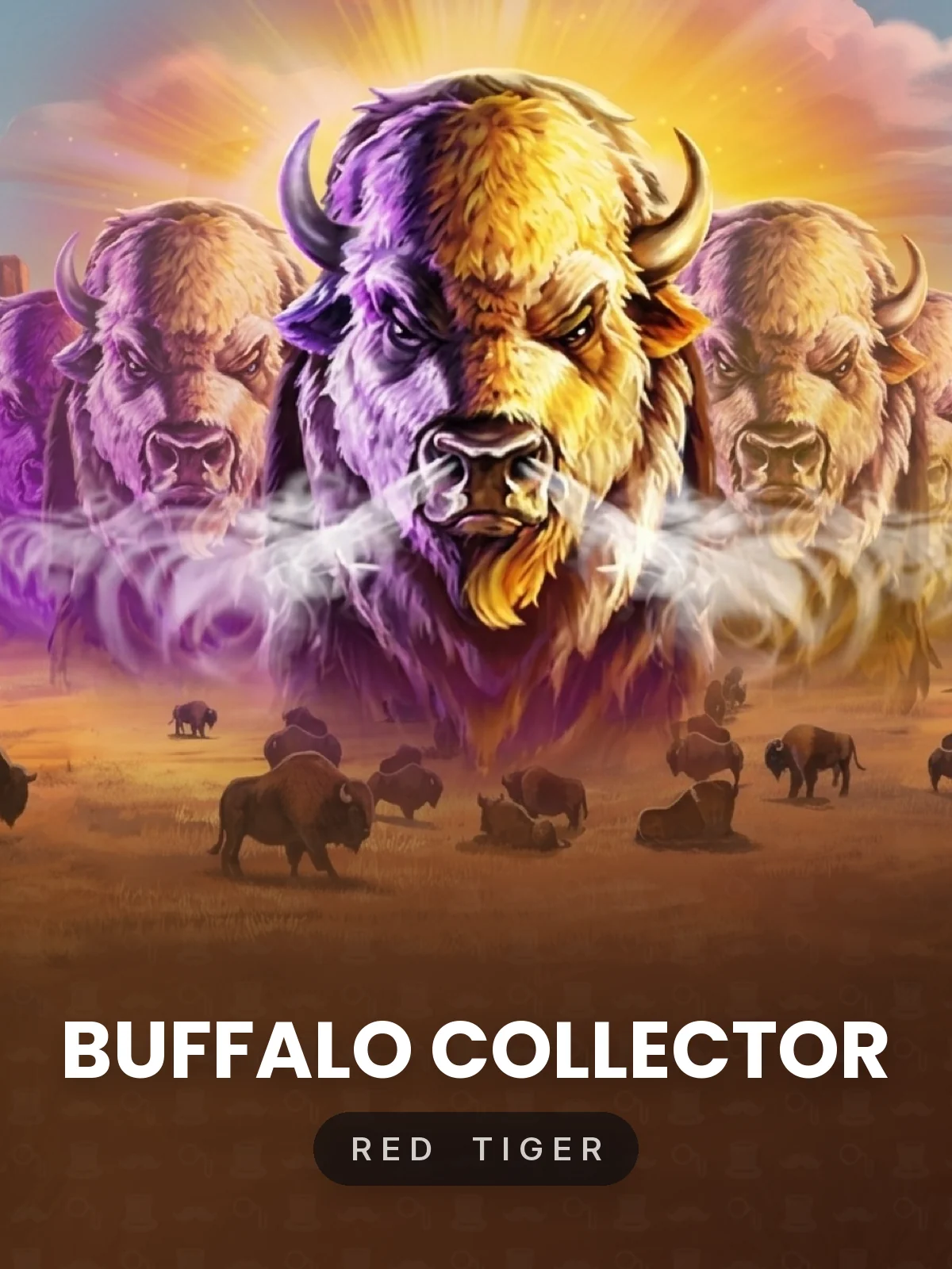 Buffalo Collector