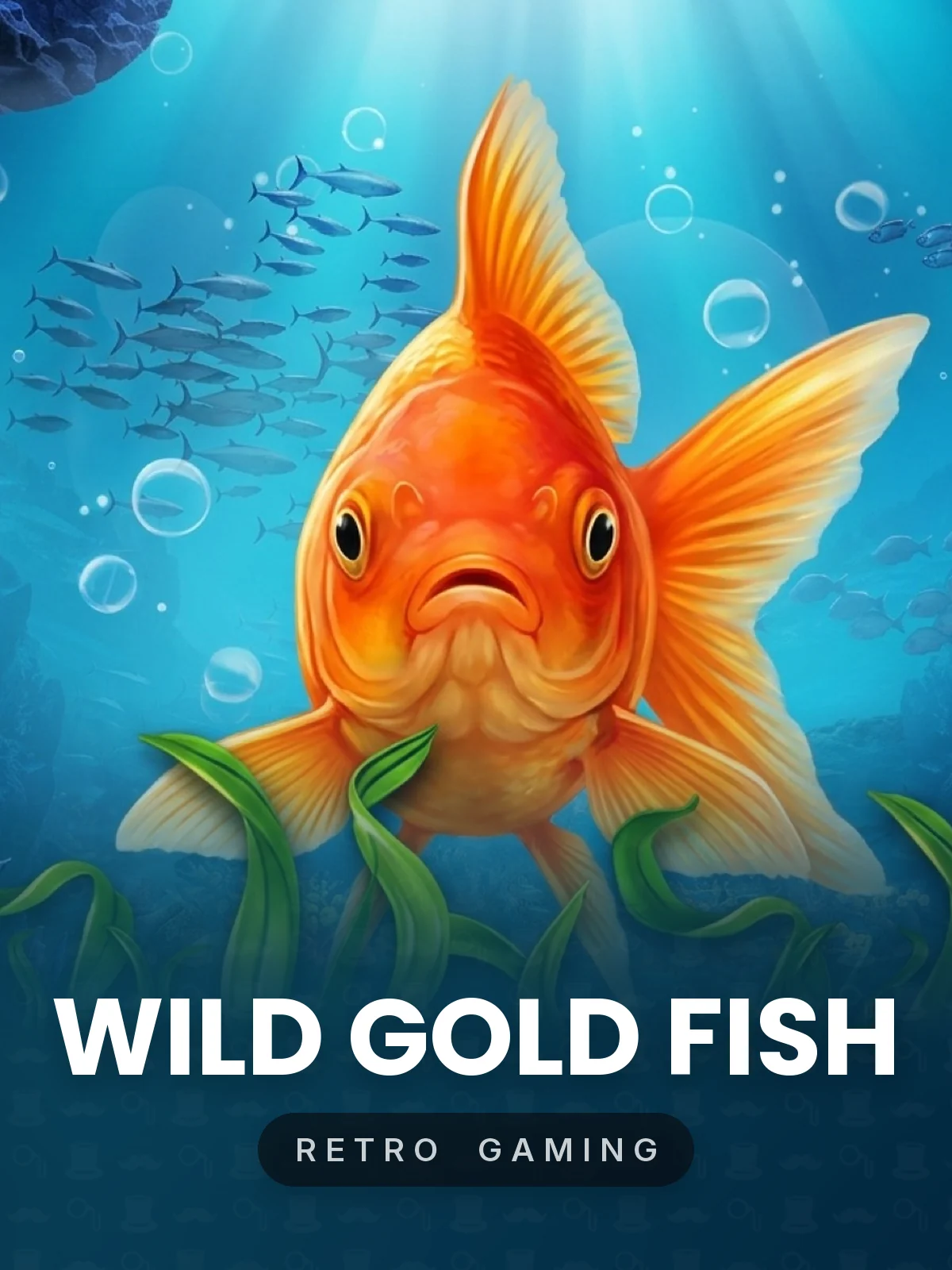 Wild Gold Fish