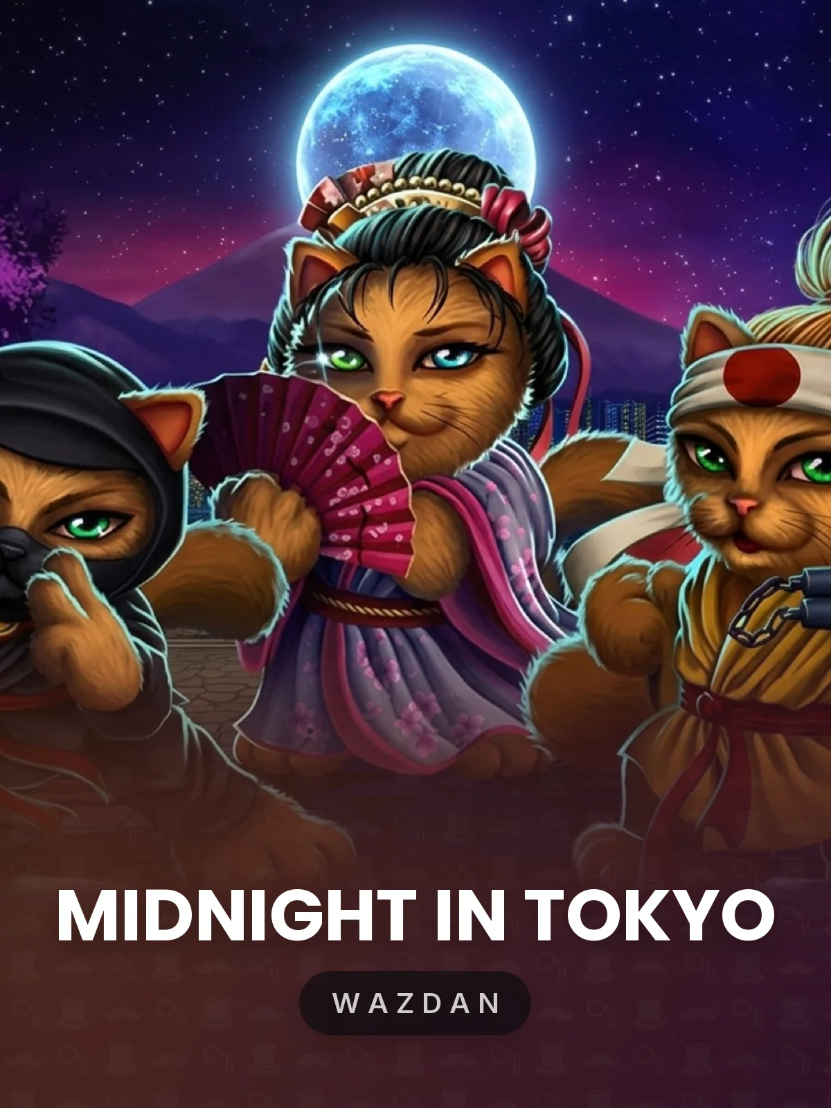 Midnight in Tokyo